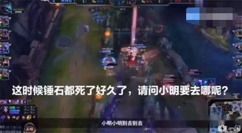 黑龙爆料假拳视频大全播放,假拳视频大全播放背后的真相